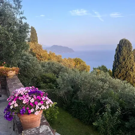 Among The Olive Trees With A Total Sea View