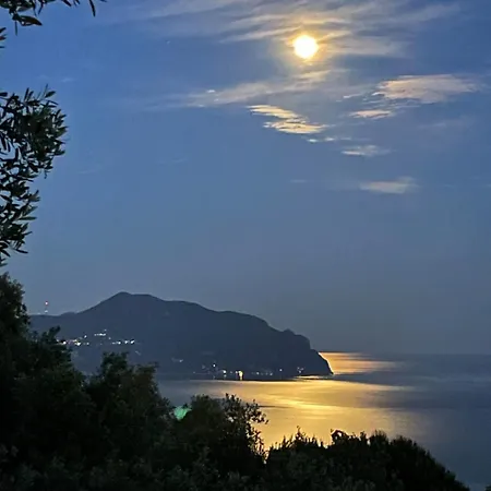 Among The Olive Trees With A Total Sea View Apartman