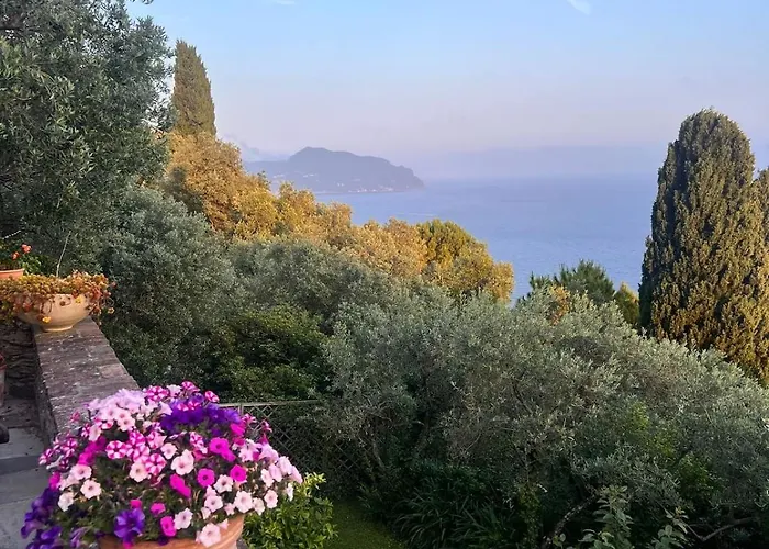 Among The Olive Trees With A Total Sea View