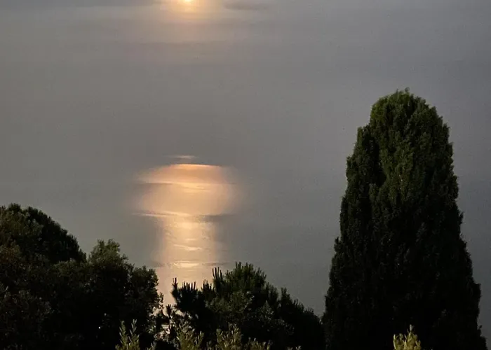 Appartement Among The Olive Trees With A Total Sea View Genua