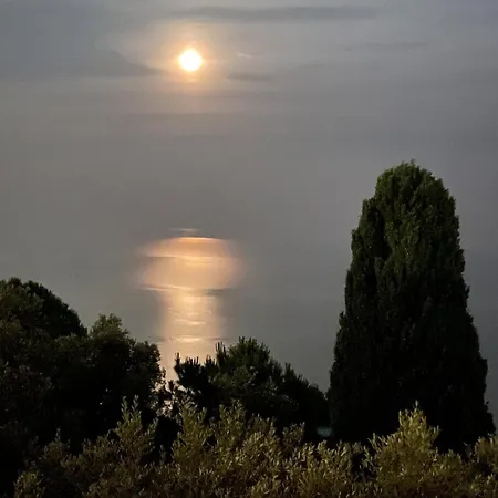 Appartamento Among The Olive Trees With A Total Sea View Genova