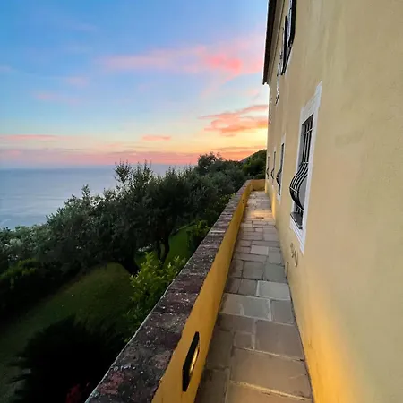 Apartment Among The Olive Trees With A Total Sea View *